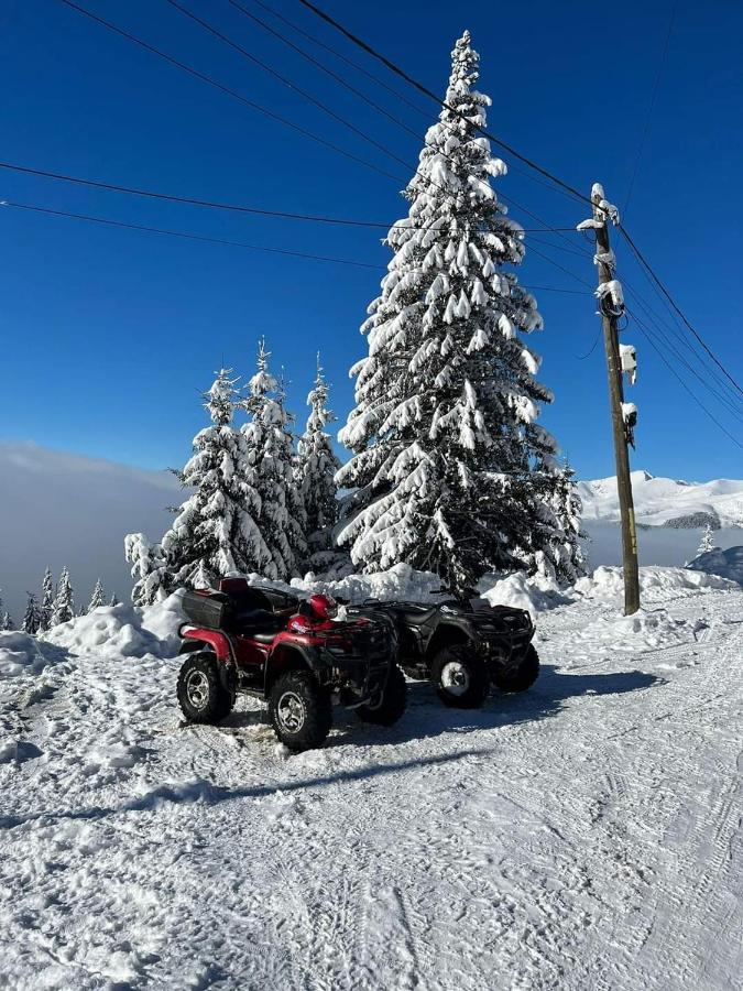 Pensiunea Alpin Ranca Dış mekan fotoğraf