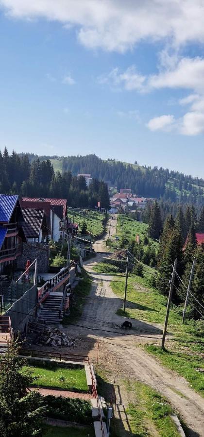 Pensiunea Alpin Ranca Dış mekan fotoğraf