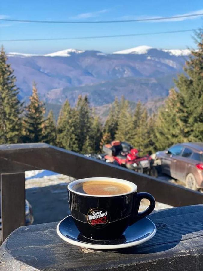 Pensiunea Alpin Ranca Dış mekan fotoğraf