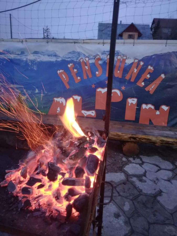 Pensiunea Alpin Ranca Dış mekan fotoğraf